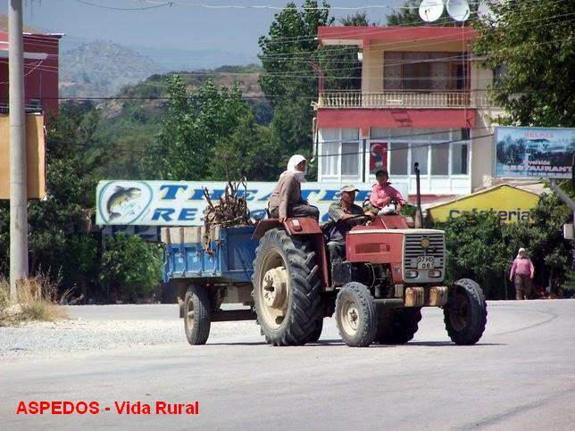 ai885.photobucket.com_albums_ac52_zung24_nas_montanhas.jpg