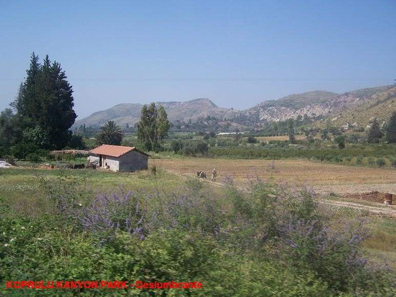 ai885.photobucket.com_albums_ac52_zung24_nas_montanhas2.jpg