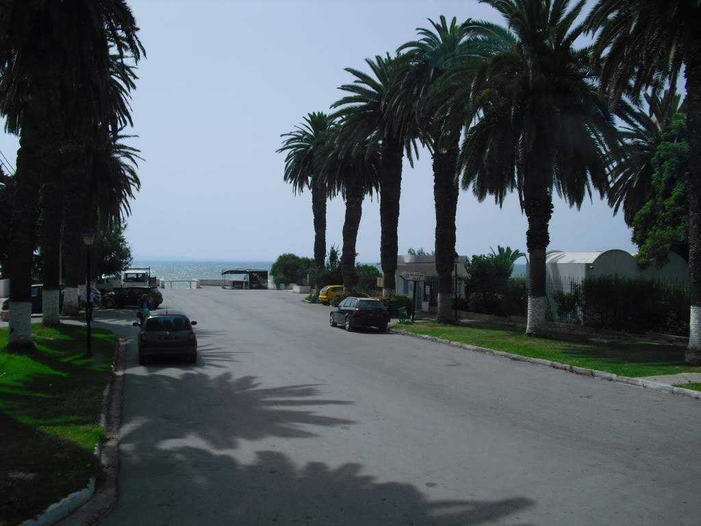 ai888.photobucket.com_albums_ac82_tila_album_CIMG0145.jpg
