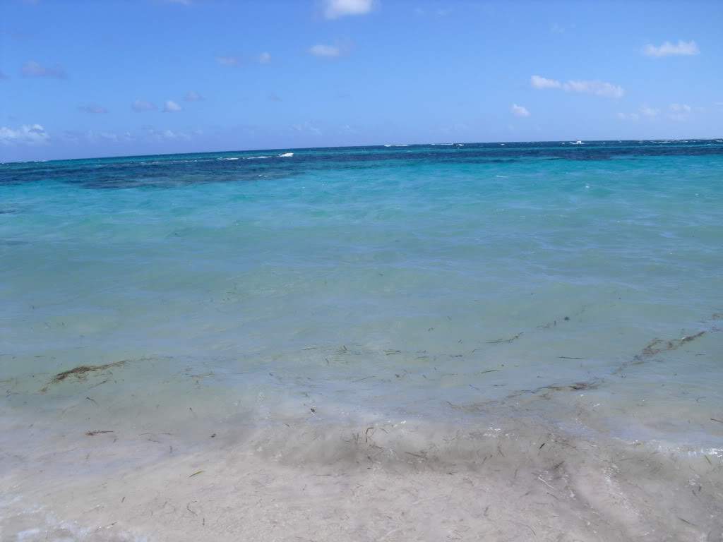 ai888.photobucket.com_albums_ac82_tila_album_CIMG0186.jpg
