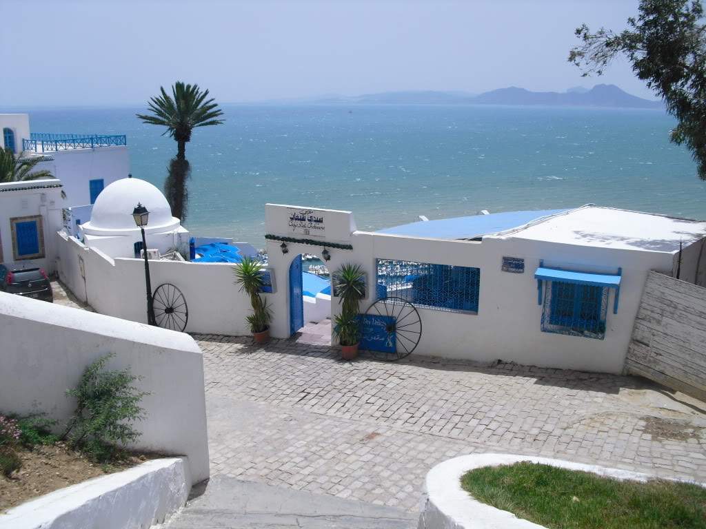 ai888.photobucket.com_albums_ac82_tila_album_CIMG0252.jpg