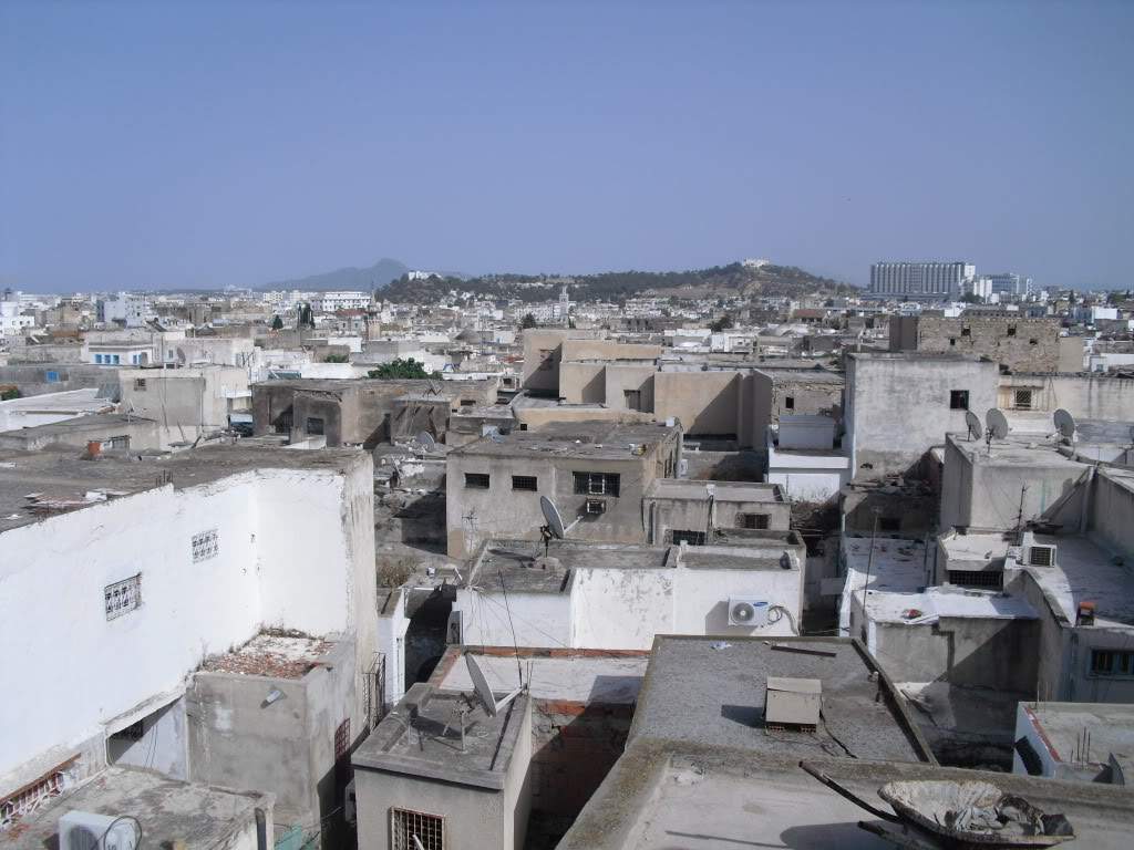 ai888.photobucket.com_albums_ac82_tila_album_CIMG0310.jpg