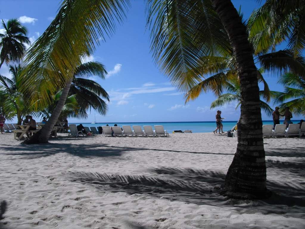 ai888.photobucket.com_albums_ac82_tila_album_CIMG0353.jpg