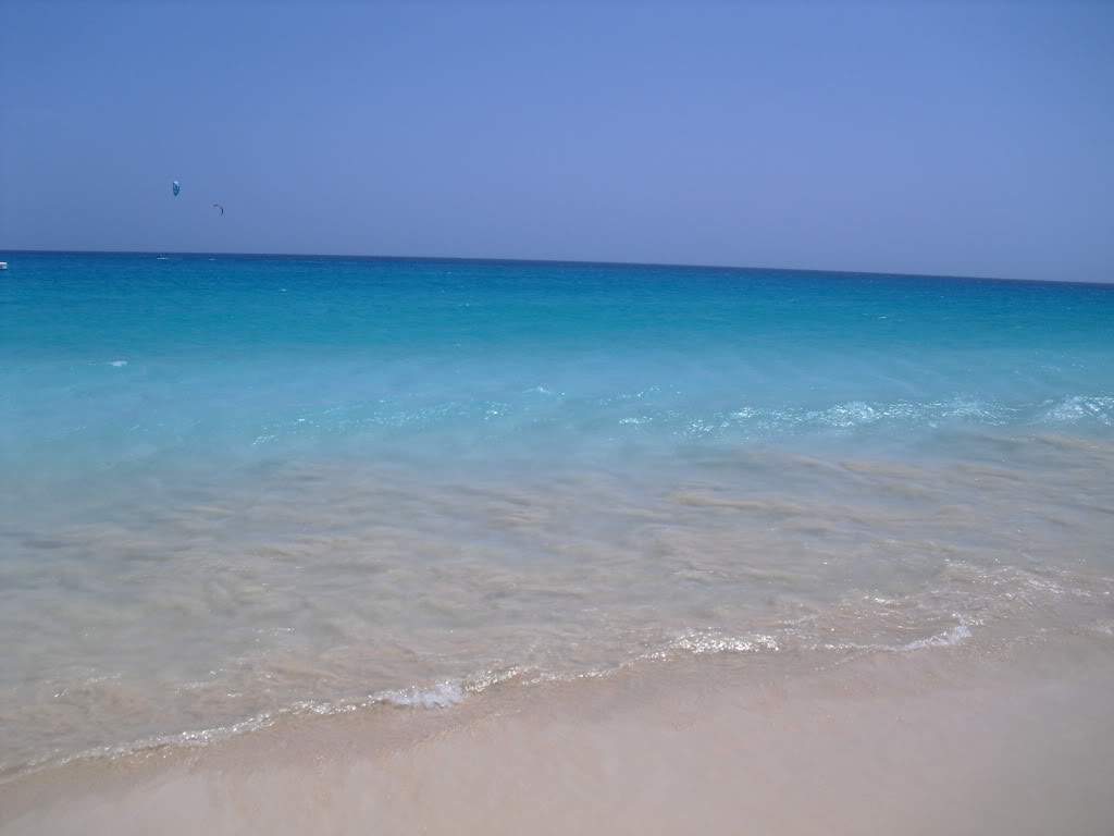 ai888.photobucket.com_albums_ac82_tila_album_CIMG0835.jpg