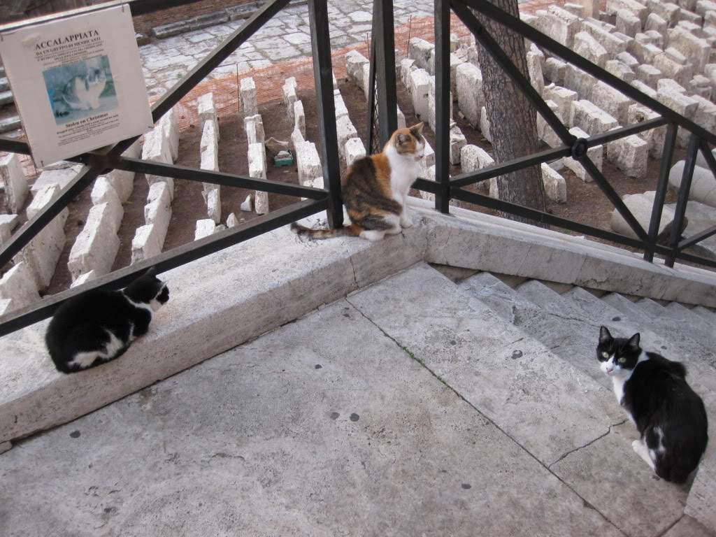 ai890.photobucket.com_albums_ac102_mokas_myphotos_335actualmenteumtemploparaodescanso.jpg