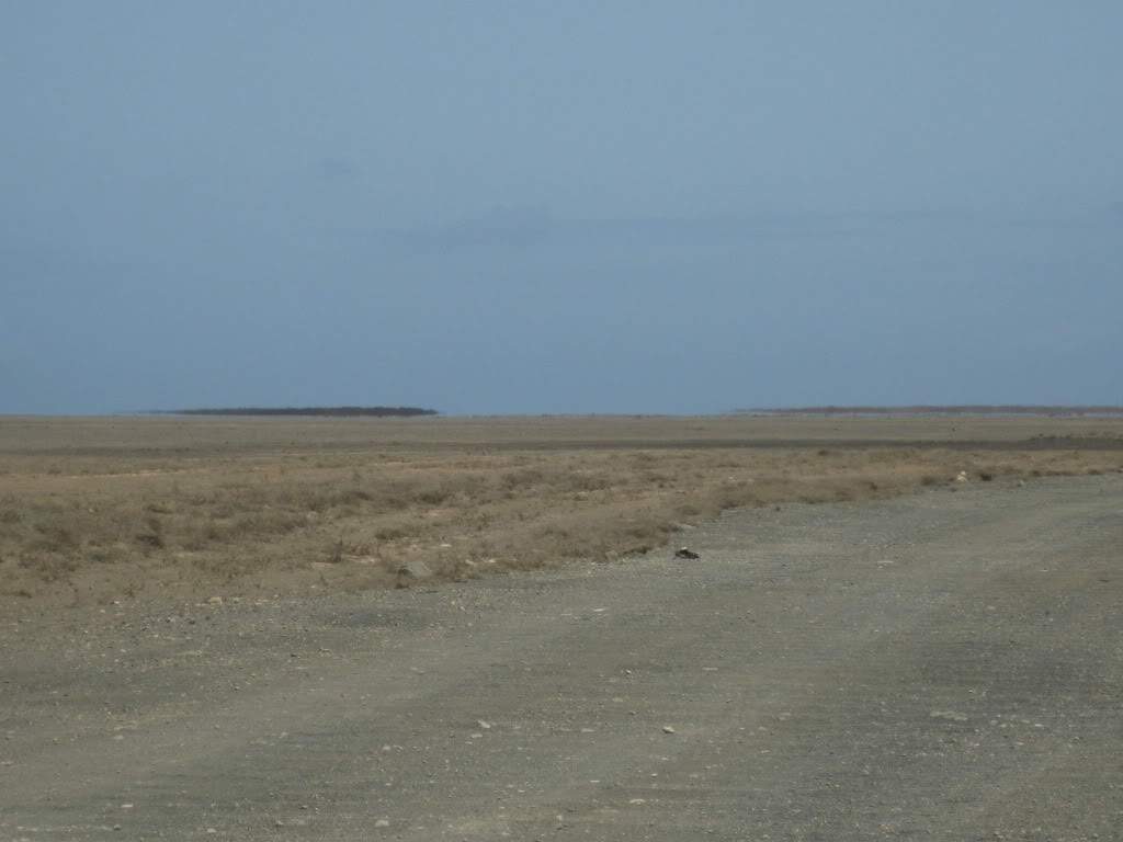 ai890.photobucket.com_albums_ac102_mokas_myphotos_cabo_20verde_20__20sal_36_onossocaminho.jpg