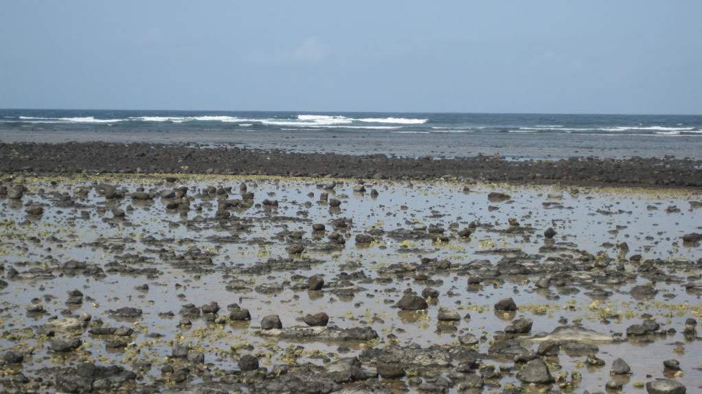 ai890.photobucket.com_albums_ac102_mokas_myphotos_cabo_20verde_20__20sal_66_costa.jpg