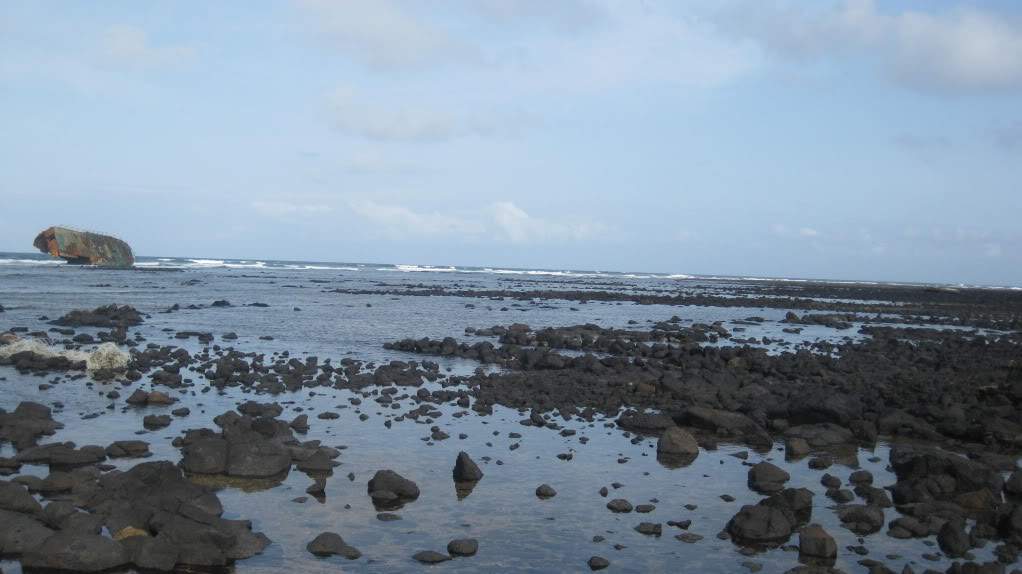 ai890.photobucket.com_albums_ac102_mokas_myphotos_cabo_20verde_20__20sal_68_costadostubares.jpg