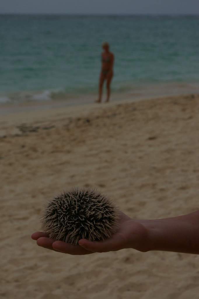 ai891.photobucket.com_albums_ac117_RMNR_SG1L7884.jpg