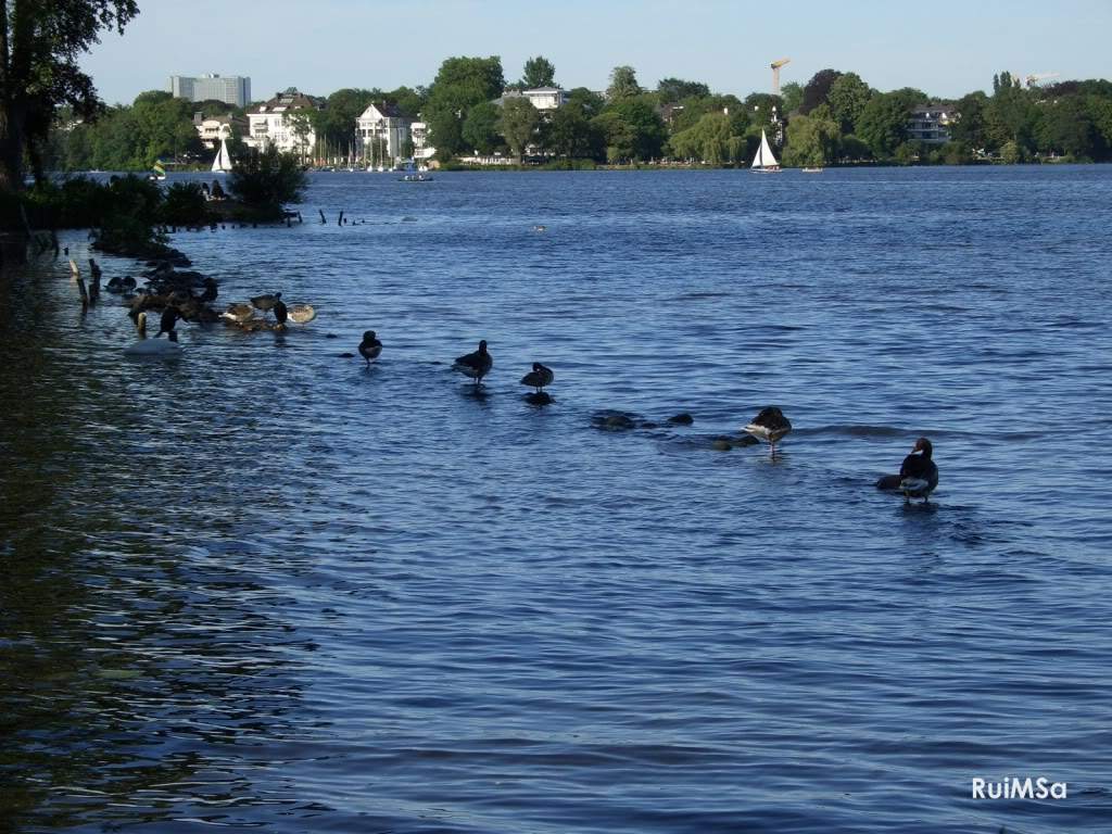 ai894.photobucket.com_albums_ac148_RuiXpto_CIMG6290.jpg