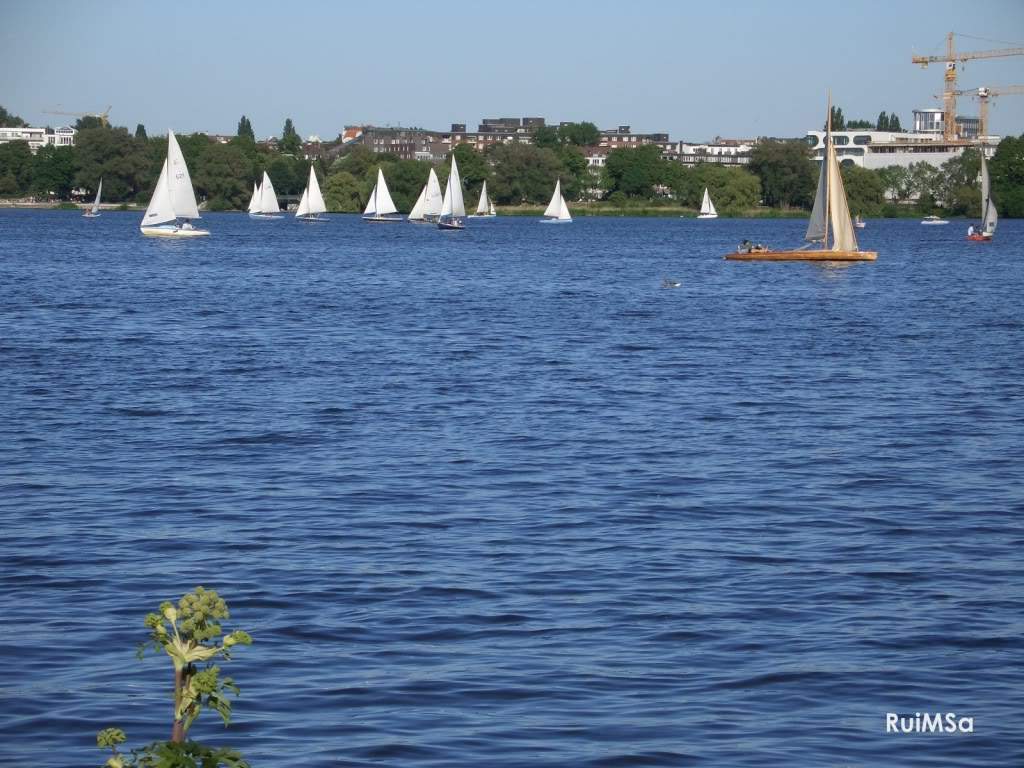 ai894.photobucket.com_albums_ac148_RuiXpto_CIMG6292.jpg