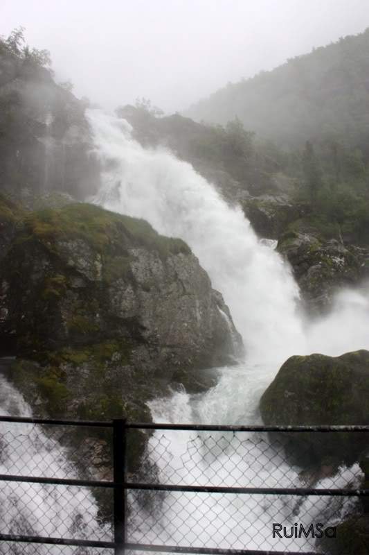 ai894.photobucket.com_albums_ac148_RuiXpto_IMG_5833.jpg