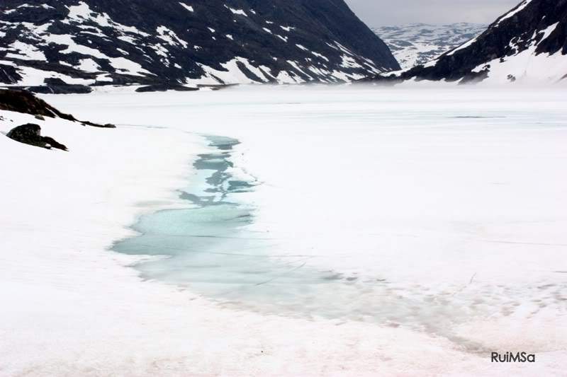 ai894.photobucket.com_albums_ac148_RuiXpto_IMG_5880.jpg