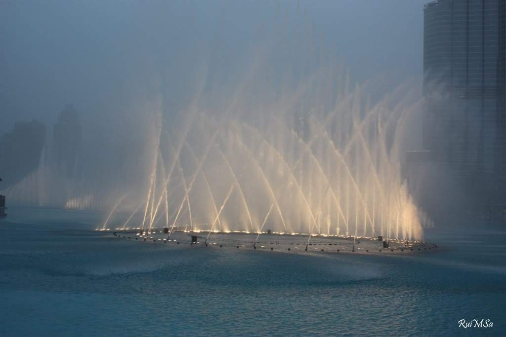 ai894.photobucket.com_albums_ac148_RuiXpto_MileUmaNoitesCostaFavolosa_FavolosaDia12_IMG_1301.jpg