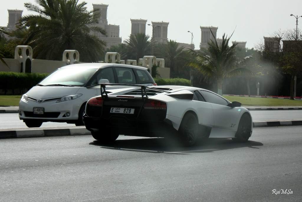 ai894.photobucket.com_albums_ac148_RuiXpto_MileUmaNoitesCostaFavolosa_FavolosaDia13_IMG_1403.jpg