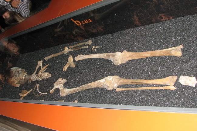 ai894.photobucket.com_albums_ac148_RuiXpto_museuvasa5.jpg