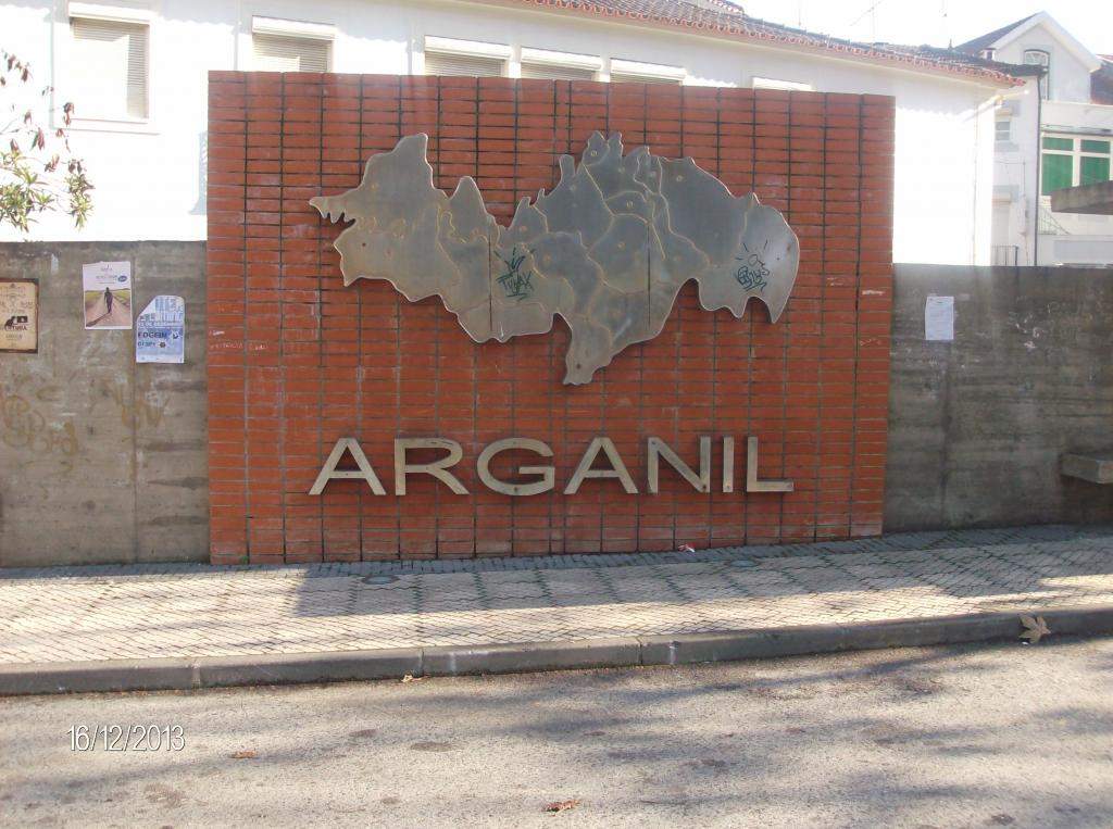 ai896.photobucket.com_albums_ac168_laglemos_pampilhosa_Arganil.jpg