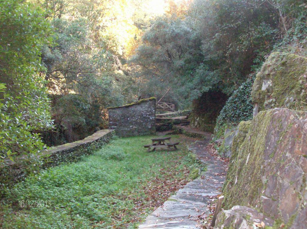 ai896.photobucket.com_albums_ac168_laglemos_pampilhosa_HPIM2345.jpg