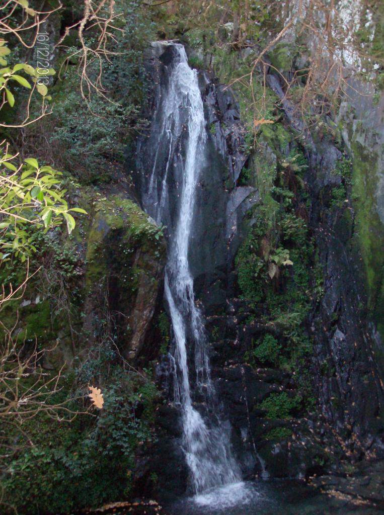 ai896.photobucket.com_albums_ac168_laglemos_pampilhosa_HPIM2362.jpg