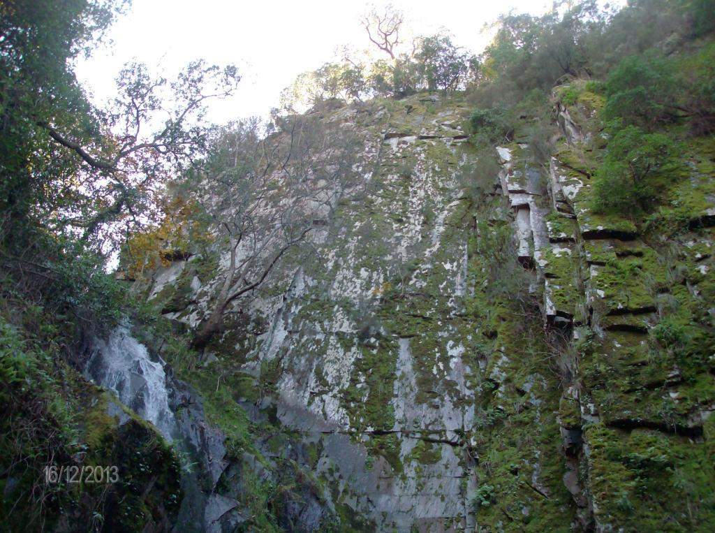 ai896.photobucket.com_albums_ac168_laglemos_pampilhosa_HPIM2367.jpg