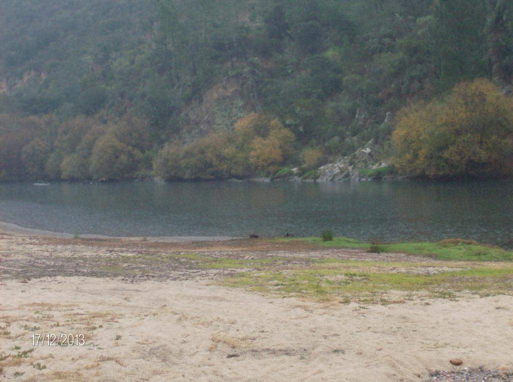ai896.photobucket.com_albums_ac168_laglemos_pampilhosa_HPIM2476.jpg