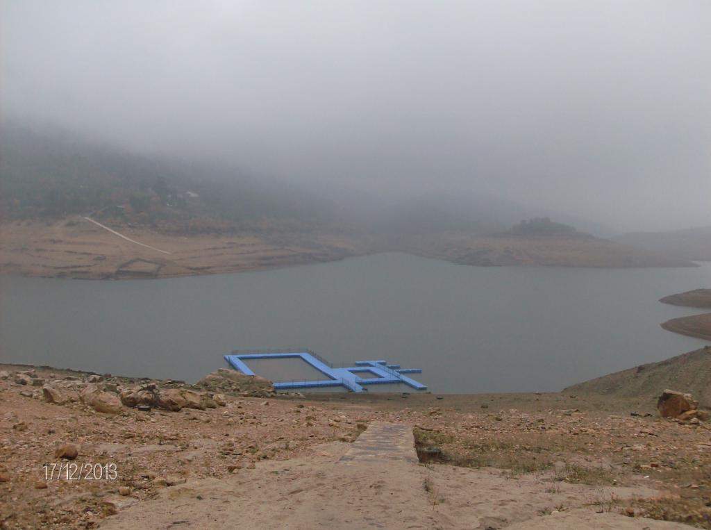 ai896.photobucket.com_albums_ac168_laglemos_pampilhosa_HPIM2492.jpg