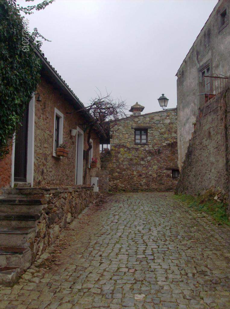 ai896.photobucket.com_albums_ac168_laglemos_pampilhosa_HPIM2624.jpg