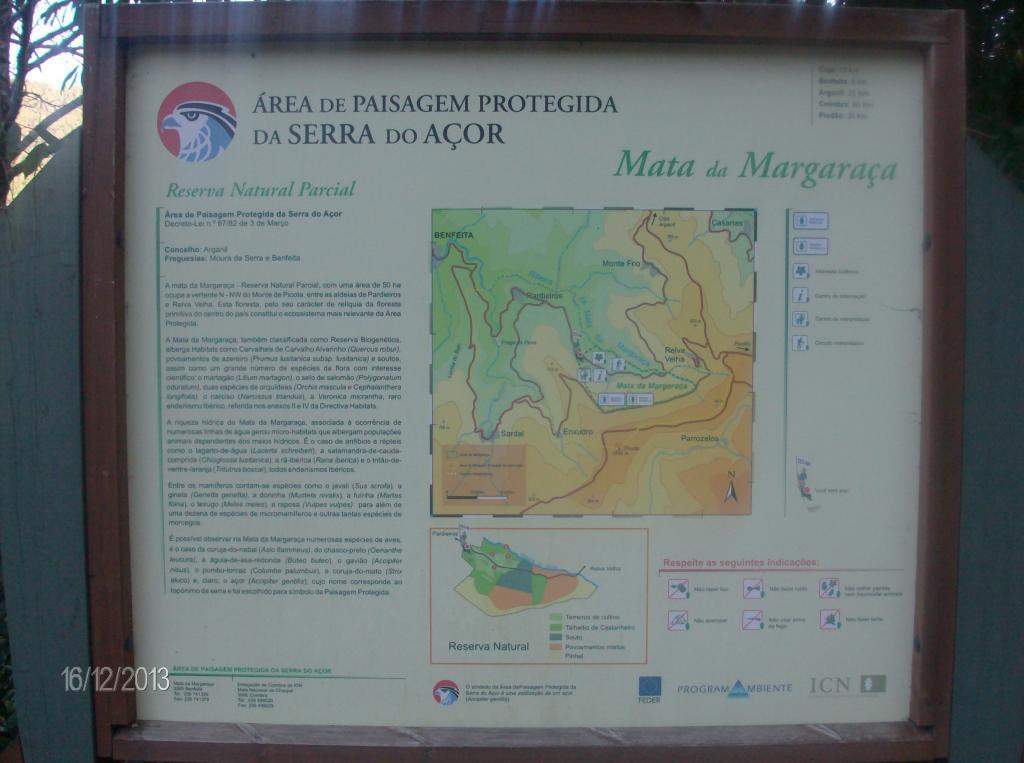 ai896.photobucket.com_albums_ac168_laglemos_pampilhosa_matamargaraccedila.jpg