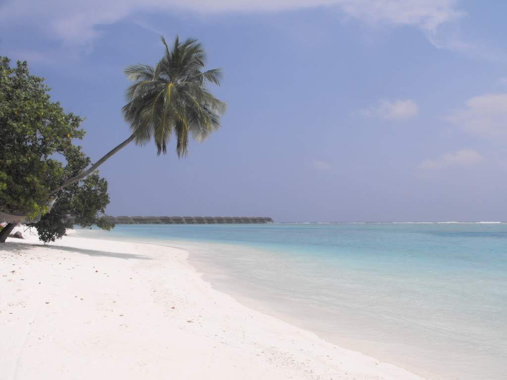 ai898.photobucket.com_albums_ac185_Isa8548_Maldivas_DSCF0183.jpg