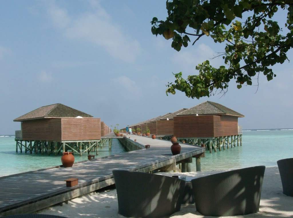 ai898.photobucket.com_albums_ac185_Isa8548_Maldivas_HPIM0970.jpg