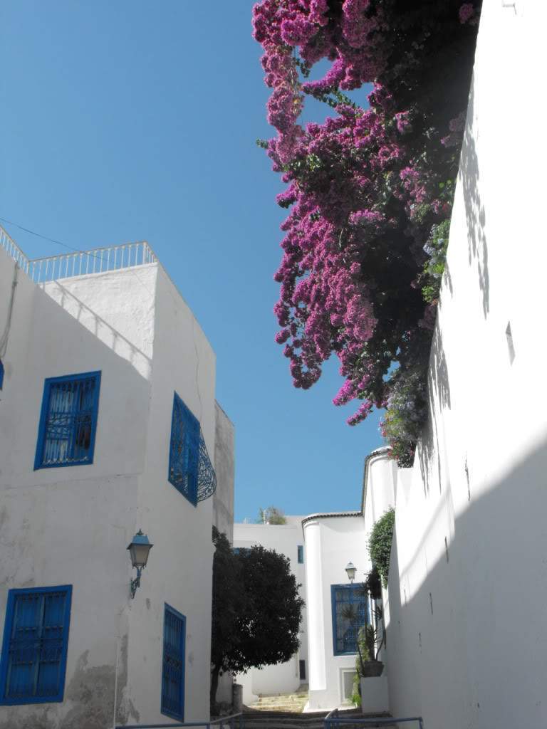 ai898.photobucket.com_albums_ac185_Isa8548_Tunisia_DSCF0305.jpg