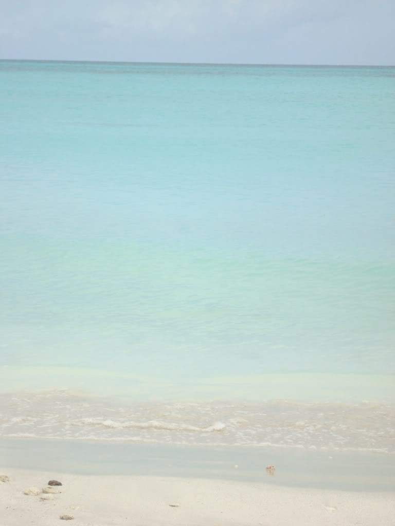 ai903.photobucket.com_albums_ac232_luciane20_200.jpg