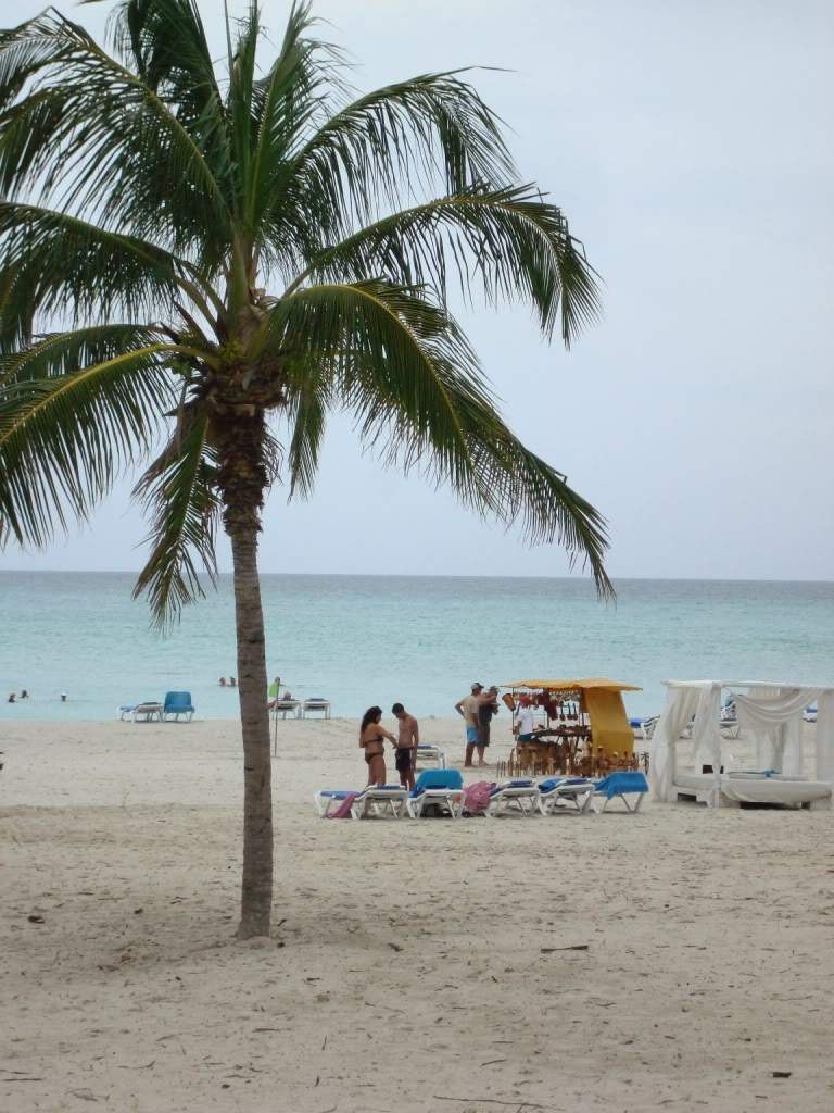 ai903.photobucket.com_albums_ac232_luciane20_5_1.jpg