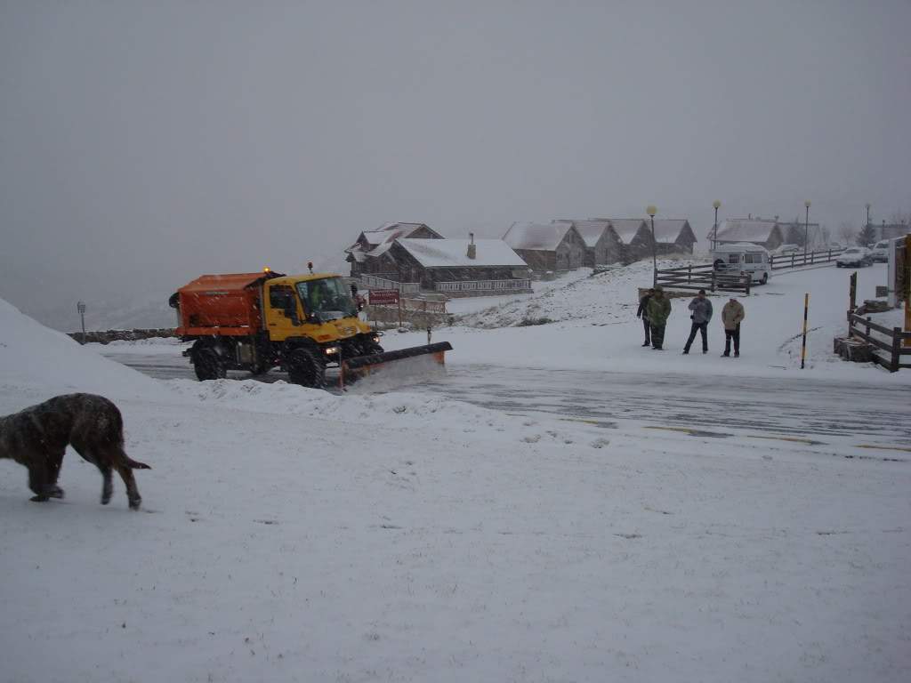 ai903.photobucket.com_albums_ac232_luciane20_DSC01422.jpg