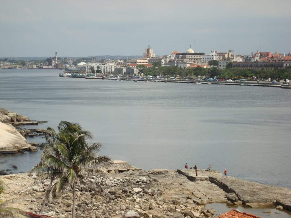 ai903.photobucket.com_albums_ac232_luciane20_DSC01701.jpg