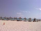 ai904.photobucket.com_albums_ac248_roborosca_th_P140810_15410001.jpg