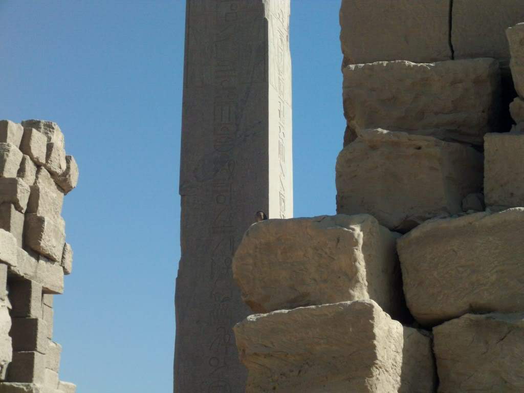 ai909.photobucket.com_albums_ac300_ploferreira_Egipto_202010_Egipto20101031024x768.jpg