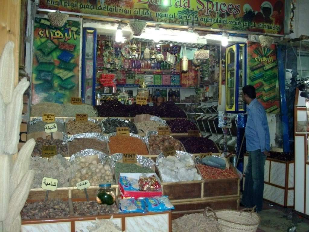 ai909.photobucket.com_albums_ac300_ploferreira_Egipto_202010_Egipto20103941024x768.jpg