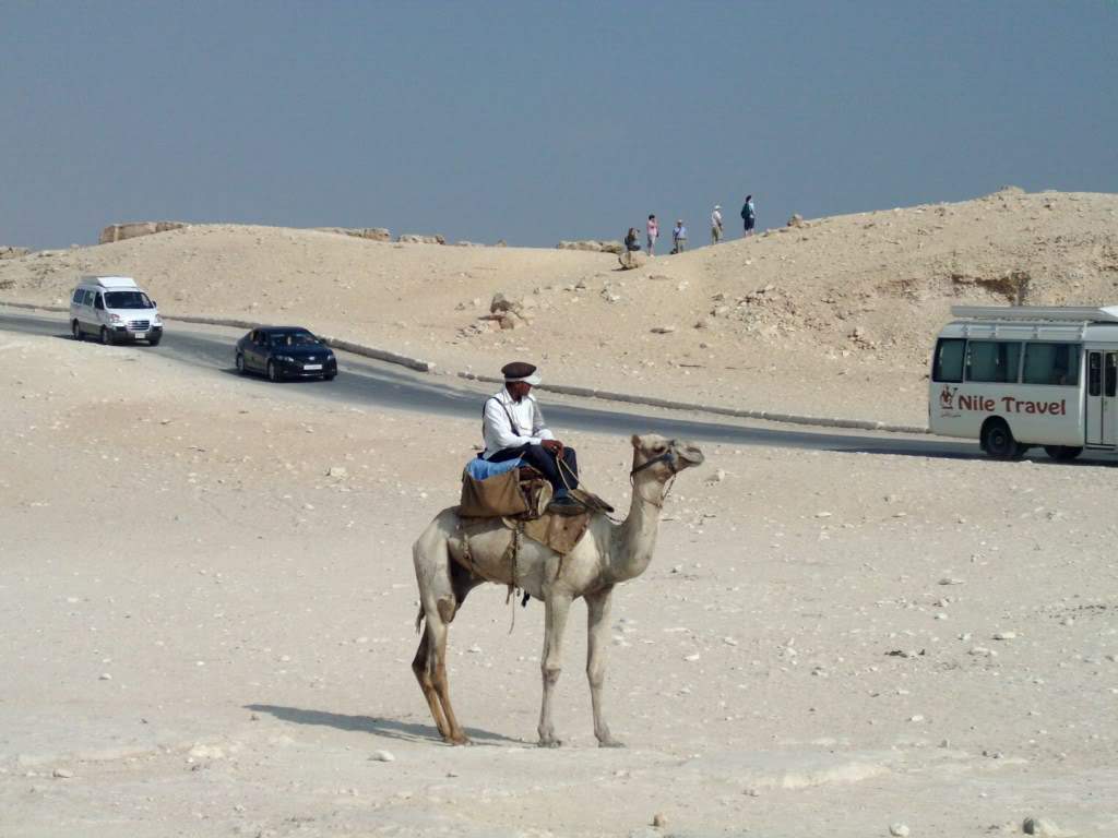 ai909.photobucket.com_albums_ac300_ploferreira_Egipto_202010_Egipto20104831024x768.jpg