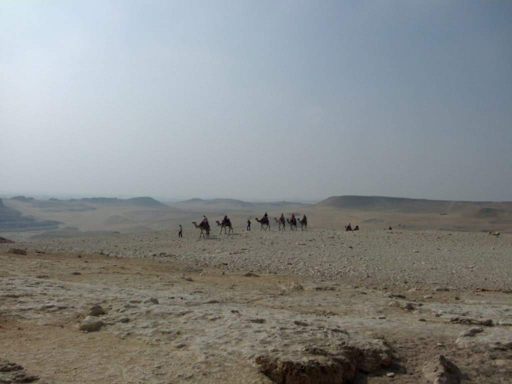 ai909.photobucket.com_albums_ac300_ploferreira_Egipto_202010_Egipto20104891024x768.jpg