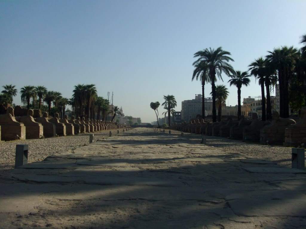 ai909.photobucket.com_albums_ac300_ploferreira_Egipto_202010_Egipto2010611024x768.jpg