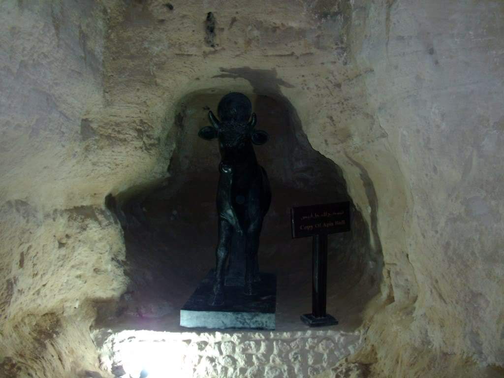 ai909.photobucket.com_albums_ac300_ploferreira_Egipto_202010_Egipto20106201024x768.jpg