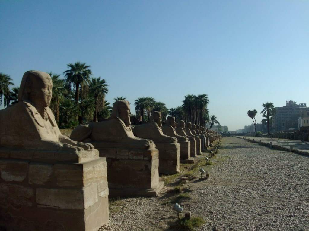 ai909.photobucket.com_albums_ac300_ploferreira_Egipto_202010_Egipto2010631024x768.jpg