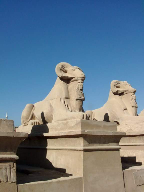 ai909.photobucket.com_albums_ac300_ploferreira_Egipto_202010_Egipto2010831024x768.jpg