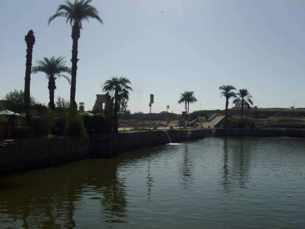 ai909.photobucket.com_albums_ac300_ploferreira_Egipto_202010_Egipto2010931024x768.jpg