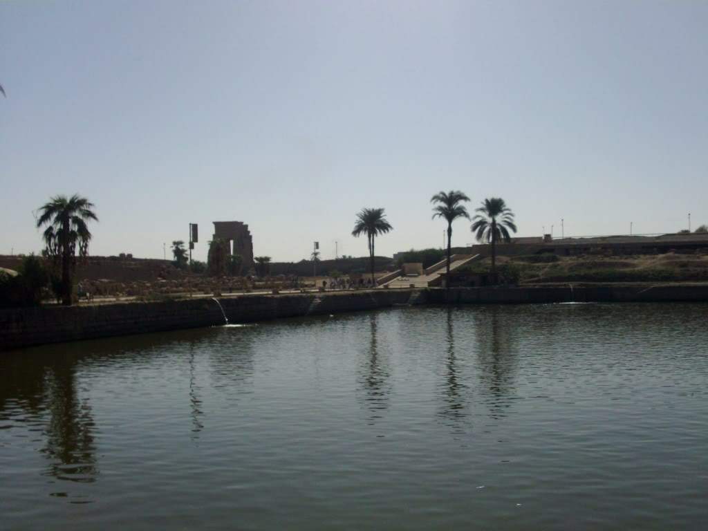 ai909.photobucket.com_albums_ac300_ploferreira_Egipto_202010_Egipto2010961024x768.jpg