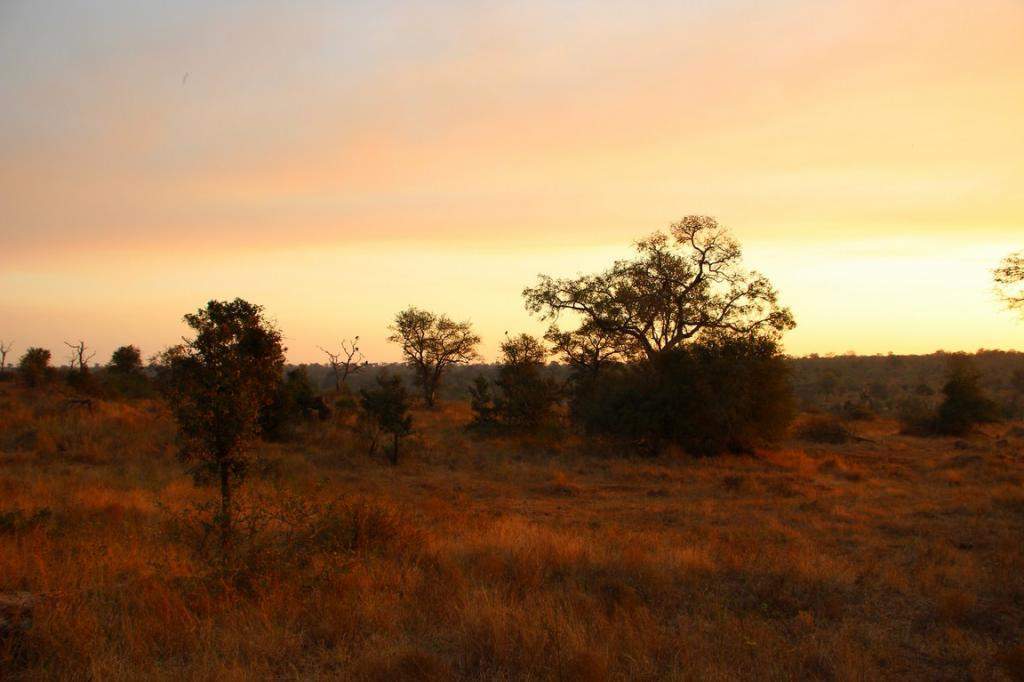 ai909.photobucket.com_albums_ac300_ploferreira_Kruger_202014_Kruger_Junho_2014130.jpg