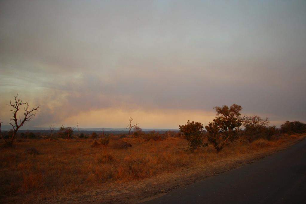 ai909.photobucket.com_albums_ac300_ploferreira_Kruger_202014_Kruger_Junho_2014136.jpg