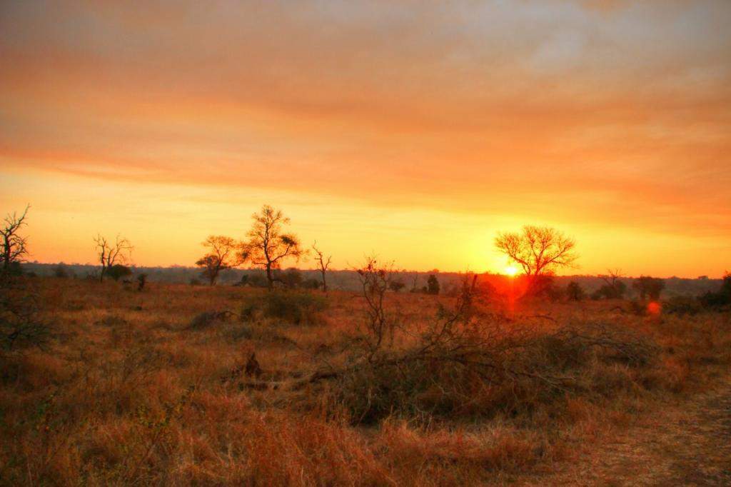ai909.photobucket.com_albums_ac300_ploferreira_Kruger_202014_Kruger_Junho_2014138.jpg