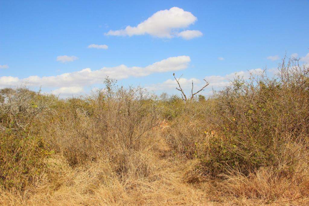 ai909.photobucket.com_albums_ac300_ploferreira_Kruger_202014_Kruger_Junho_201457.jpg